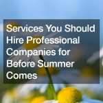 Services You Should Hire Professional Companies for Before Summer Comes