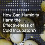 How Can Humidity Harm the Effectiveness of Cold Incubators?